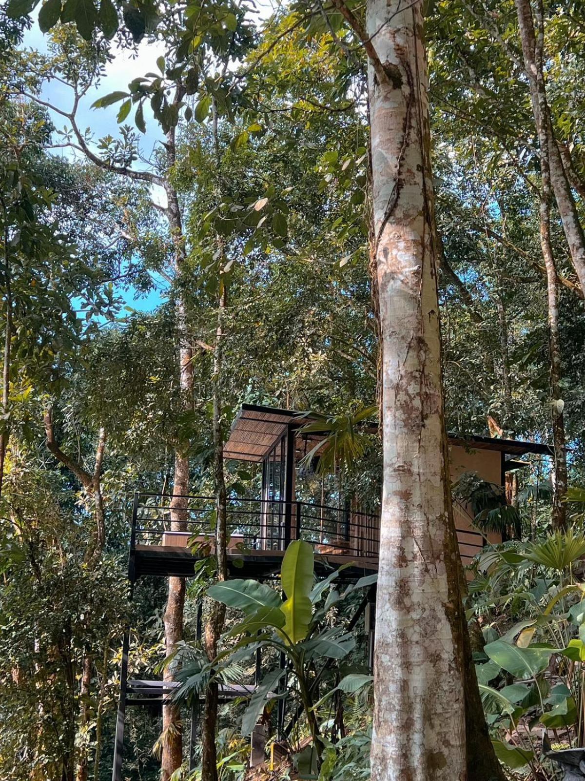 Hotel Rincon De La Sierra Minca Extérieur photo