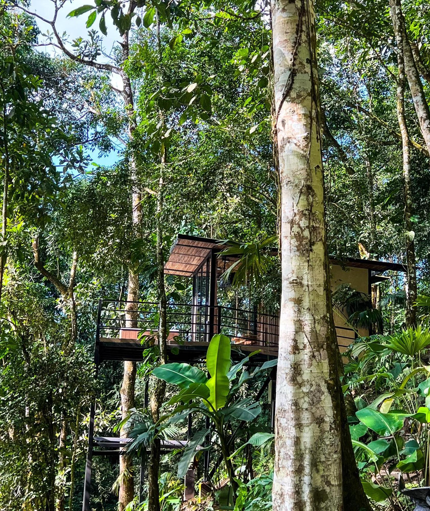 Hotel Rincon De La Sierra Minca Extérieur photo
